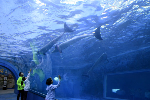 장생포 고래박물관